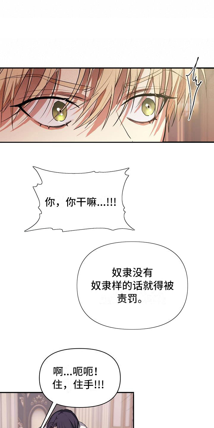 帝国皇妃不好当漫画免费阅读漫画,第10章：怀疑1图