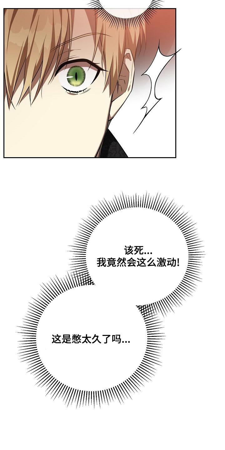 帝国皇隶之前的小说名字叫什么漫画,第36章：学习剑术2图