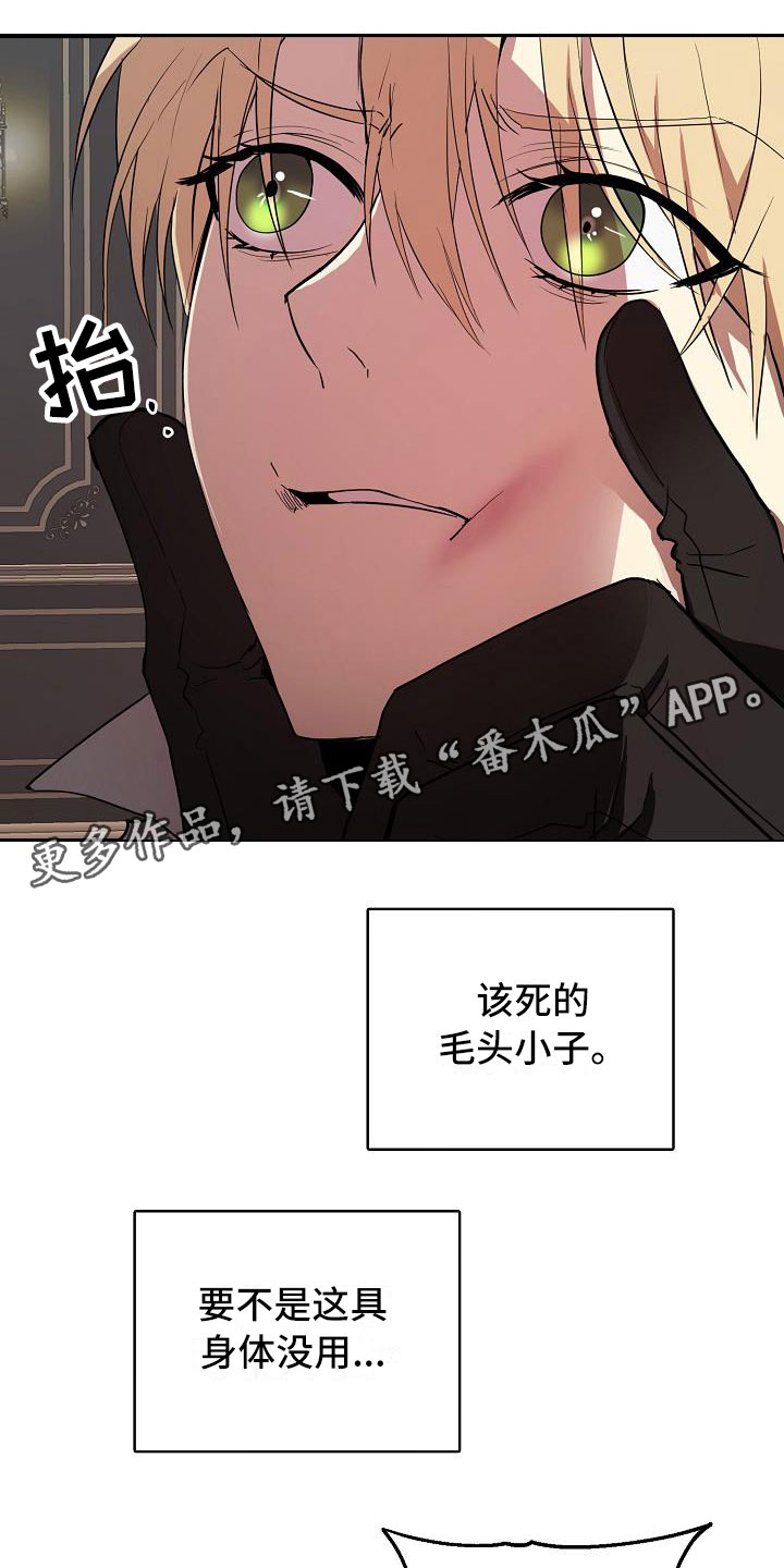 帝国皇妃不好当免费漫画漫画,第10章：怀疑1图