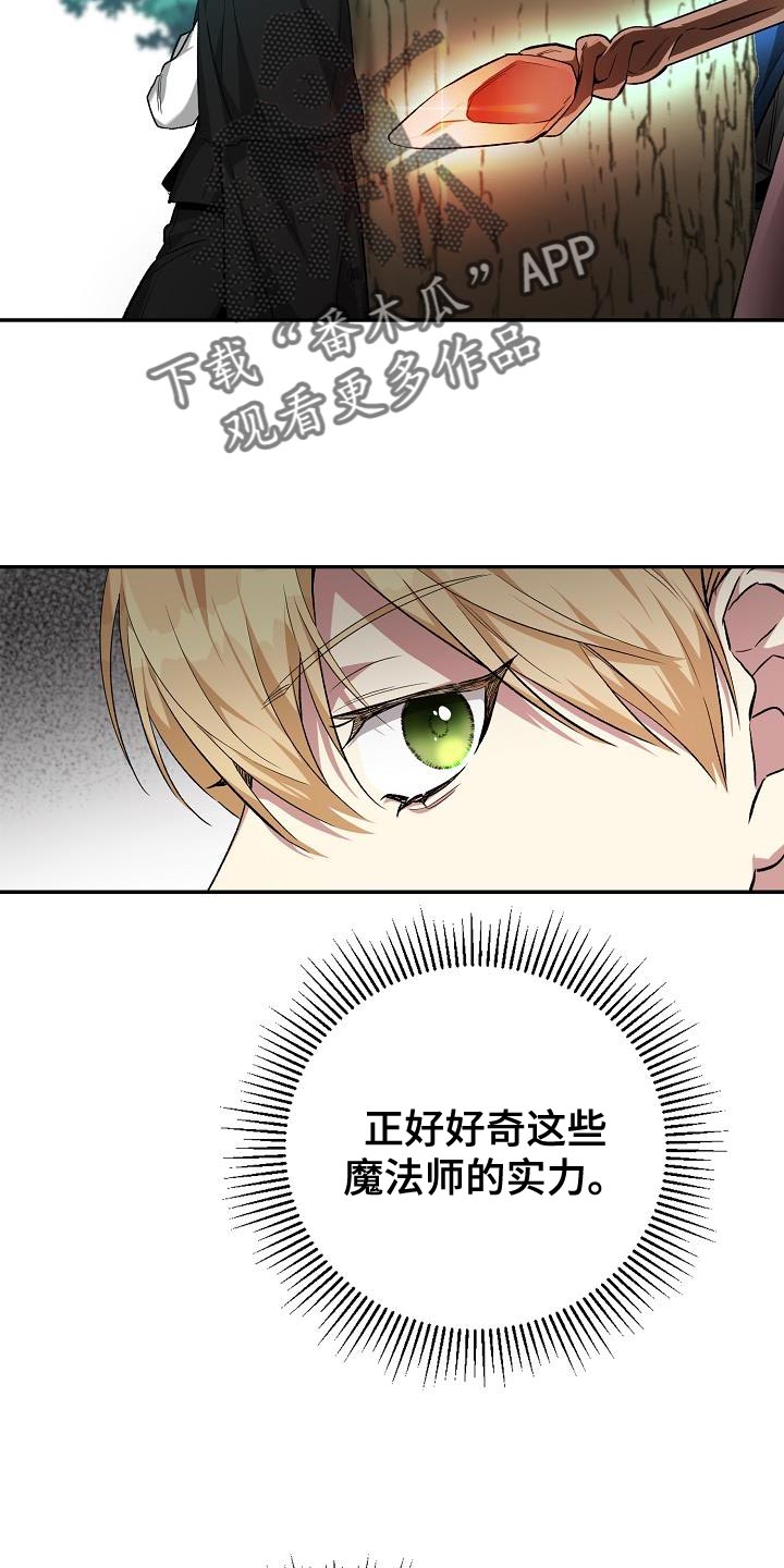 帝国皇隶又叫什么漫画,第46章：手帕2图