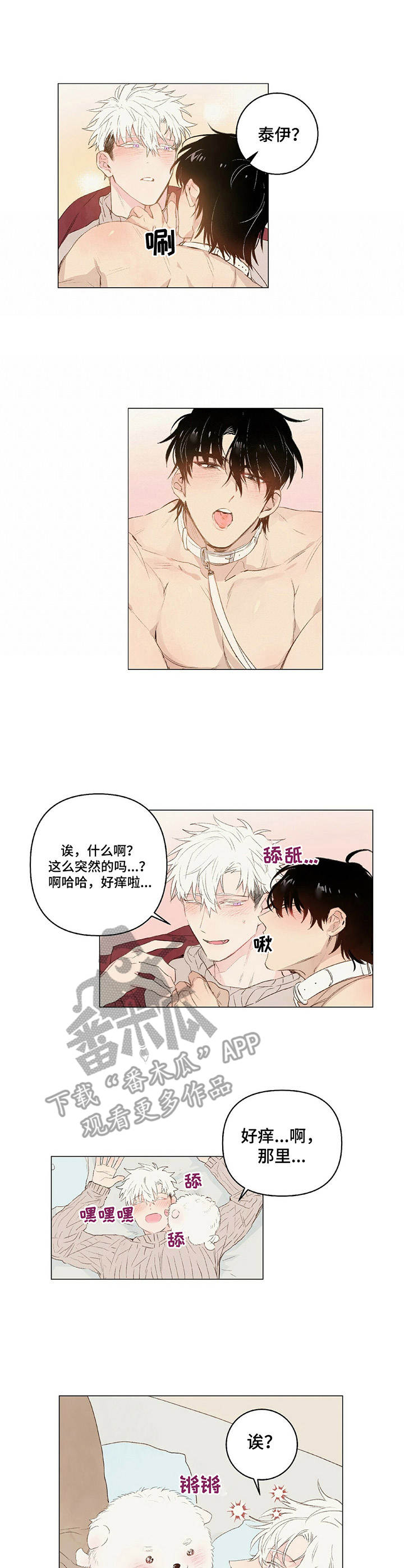 宠物项圈铃铛款漫画,第19章：领回家2图