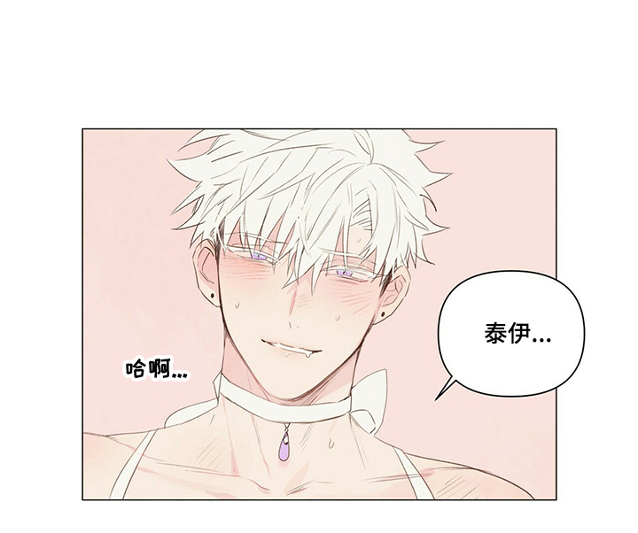 宠物项圈叫什么漫画,第33章：妩媚1图