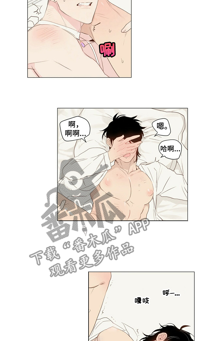 宠物项圈叫什么漫画,第34章：情起1图