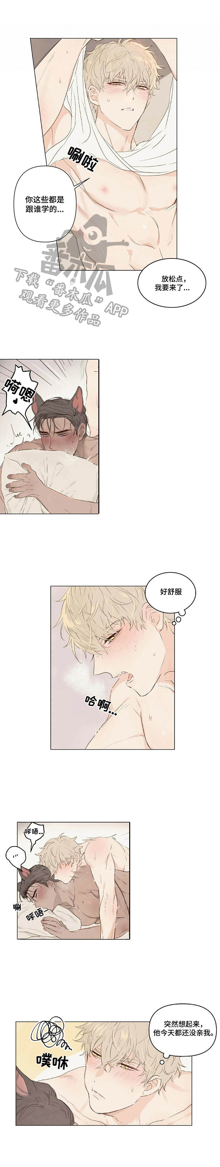 宠物项圈编织视频教程漫画,第7章：听话2图