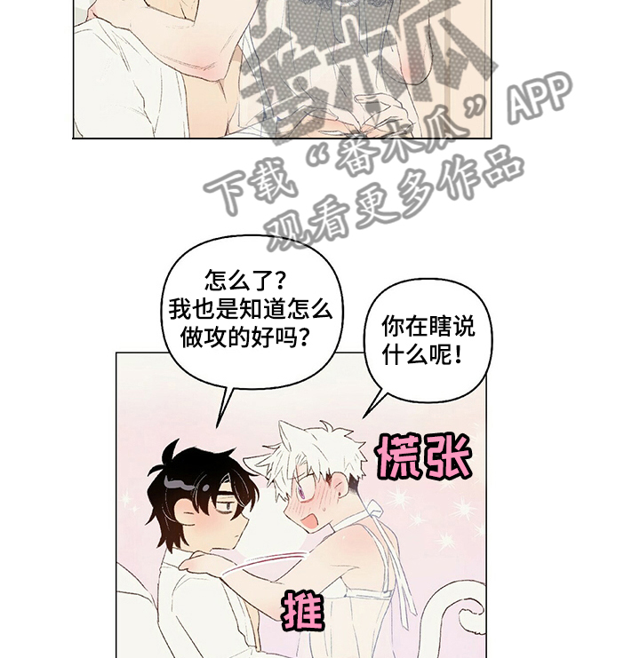 宠物项圈漫画免费漫画,第32章：女装1图