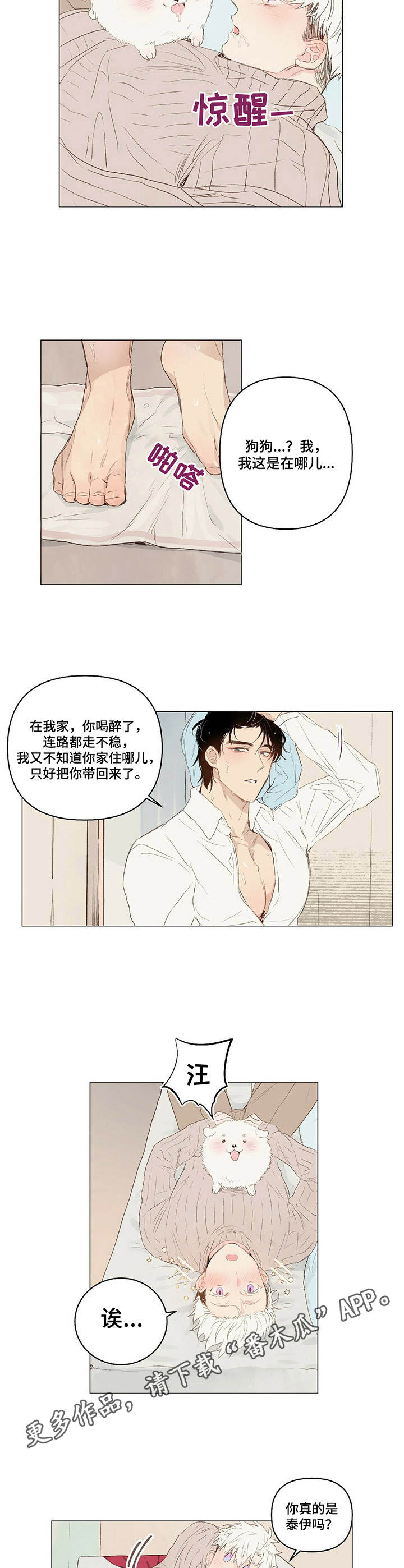 宠物项圈漫画免费阅读漫画,第19章：领回家1图