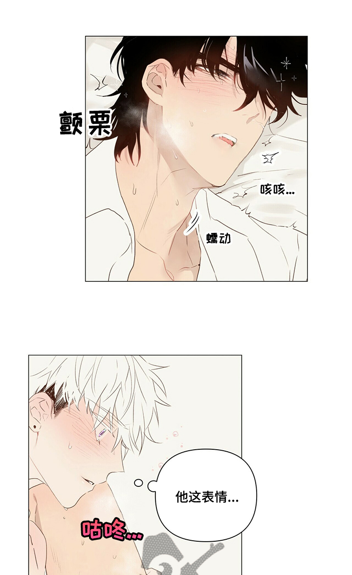 宠物项圈叫什么漫画,第34章：情起1图