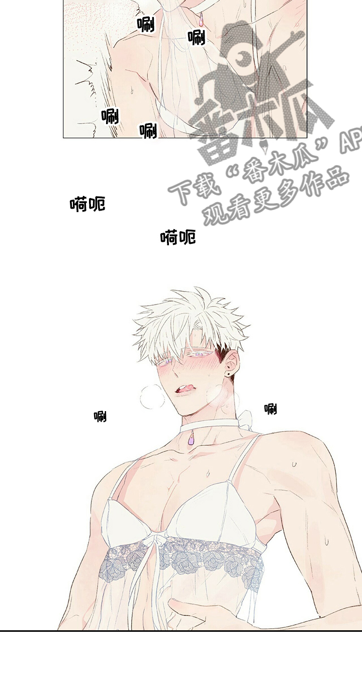 宠物项圈叫什么漫画,第33章：妩媚2图