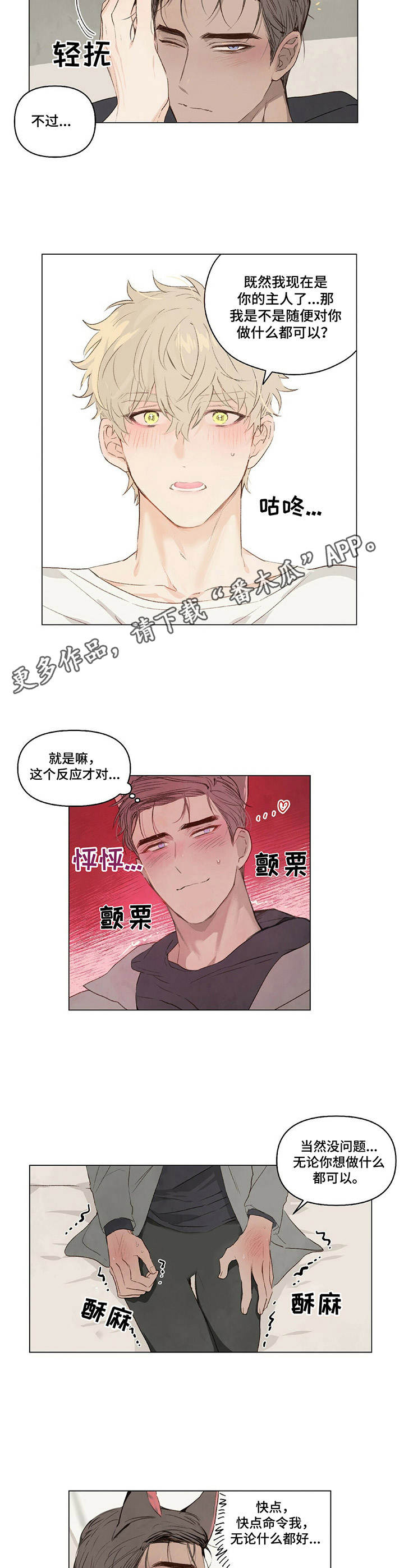 宠物项圈固定法名词解释漫画,第6章： 耳朵2图