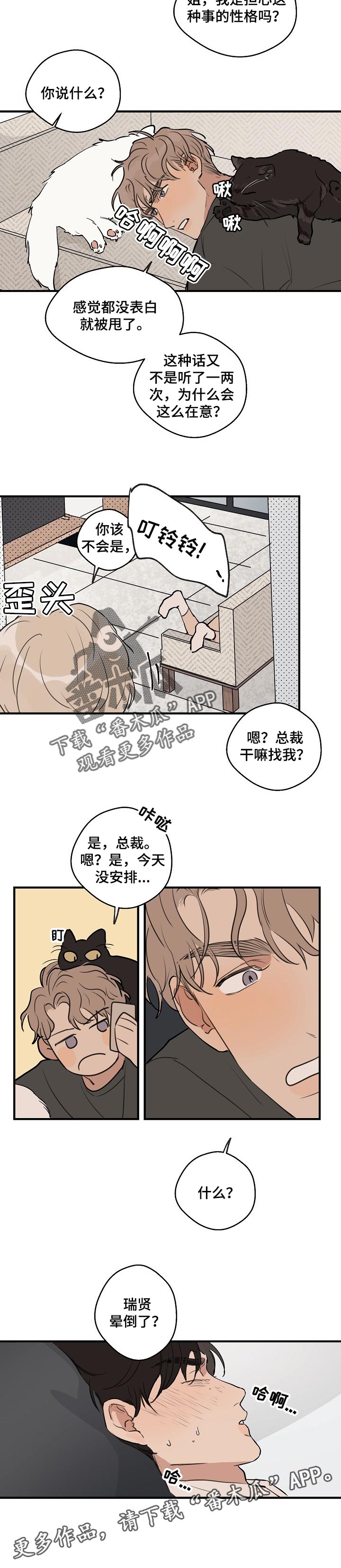 时尚跑步裤女宽松漫画,第49章：【第二季】晕倒了2图