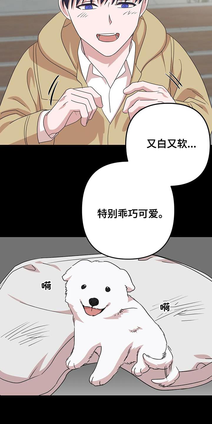 危险保镖漫画,第31章：唯一的朋友2图