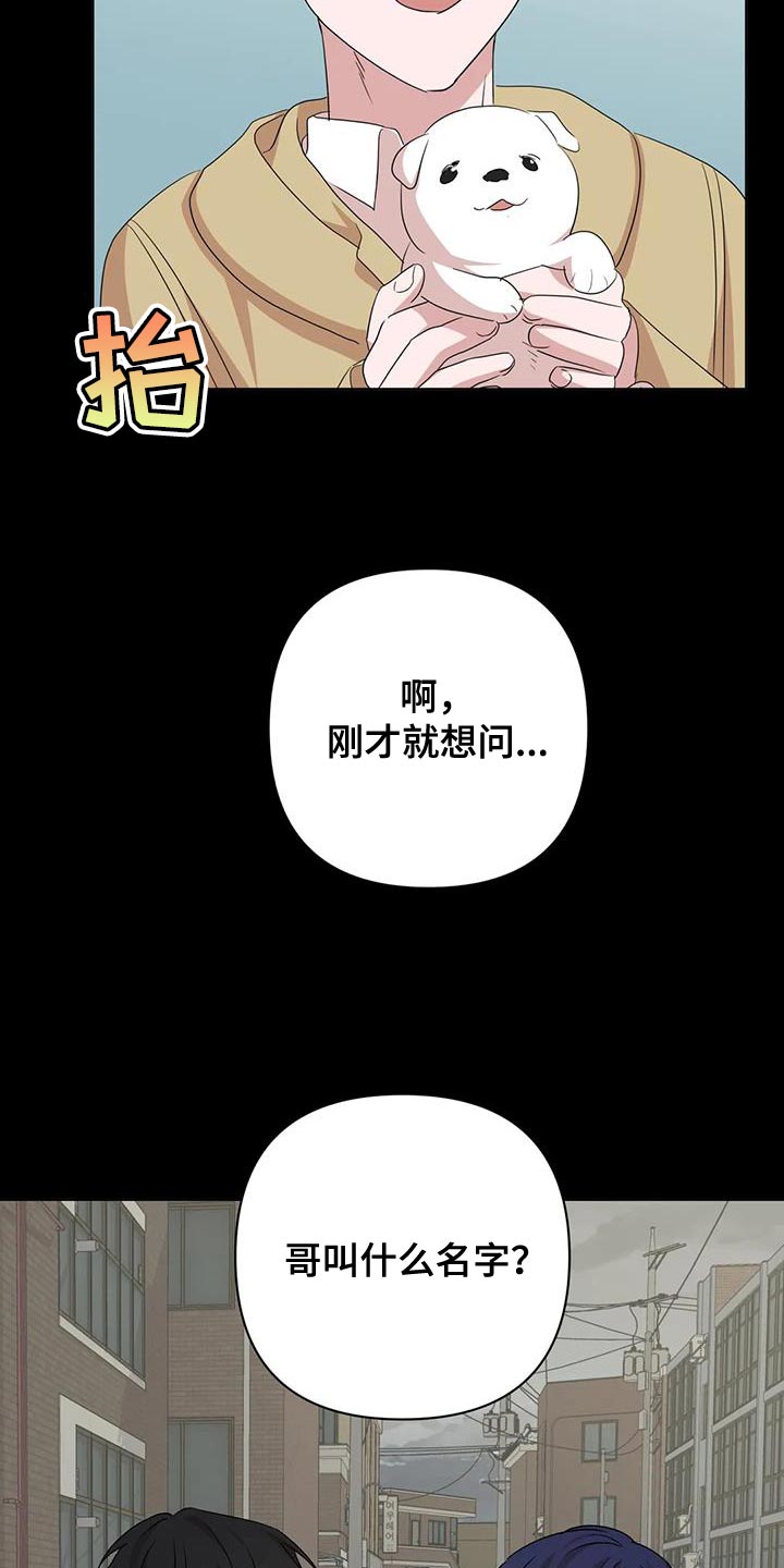 危险保镖漫画,第34章：重新回去比较好2图