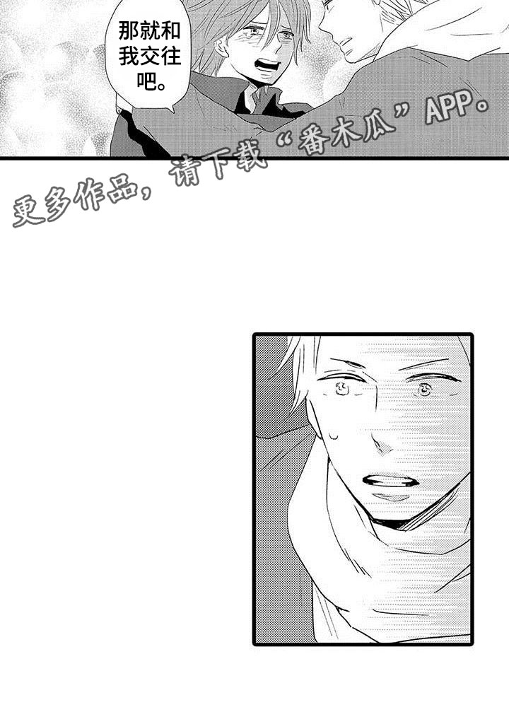 少年情缘小说免费阅读漫画,第22章：少年情话：告白1图