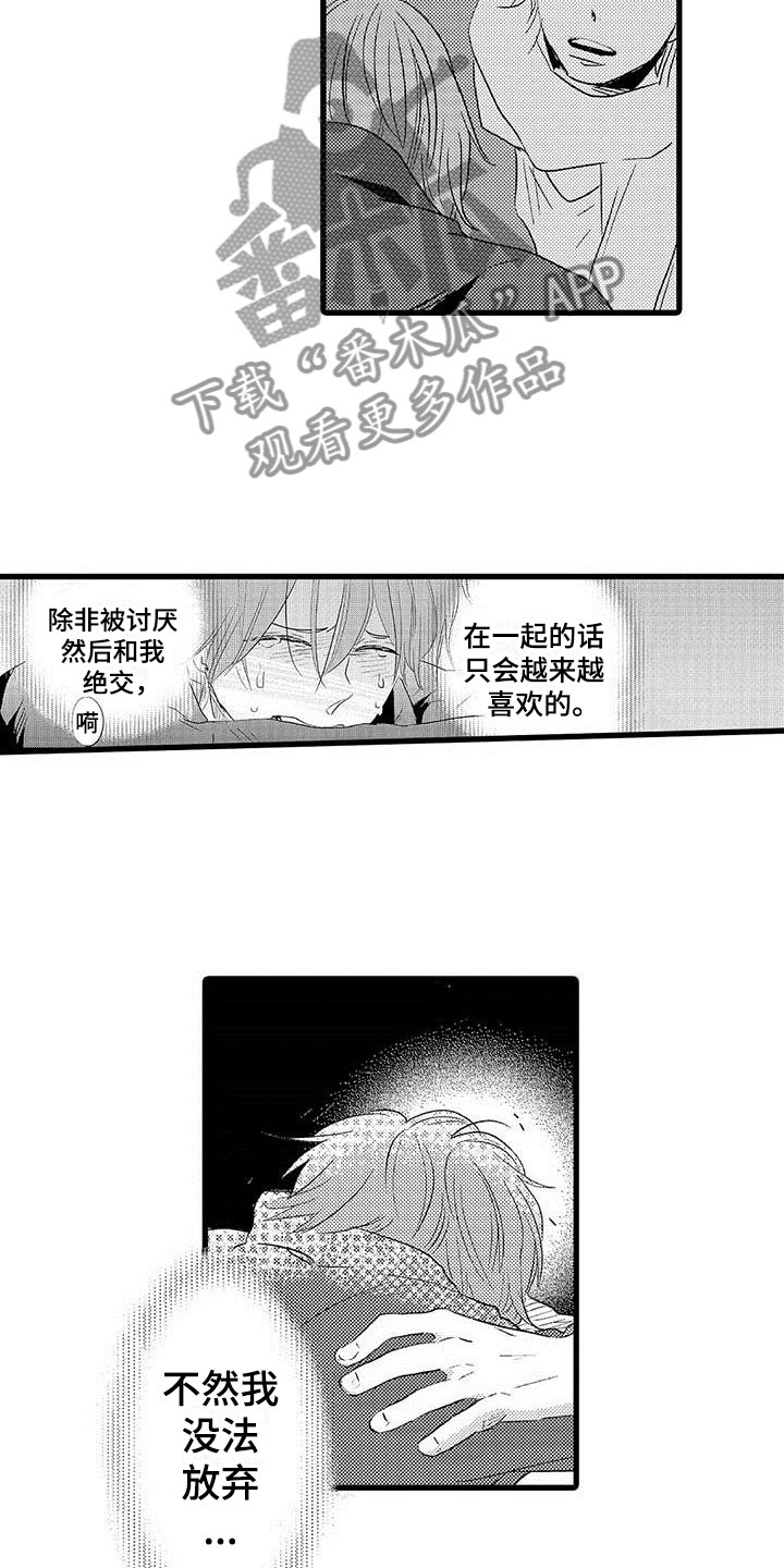 少年情缘小说免费阅读漫画,第22章：少年情话：告白1图