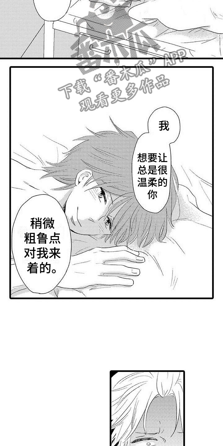 少年情怀陆小伟苏晴笔趣阁漫画,第26章：少年情话：幸福2图