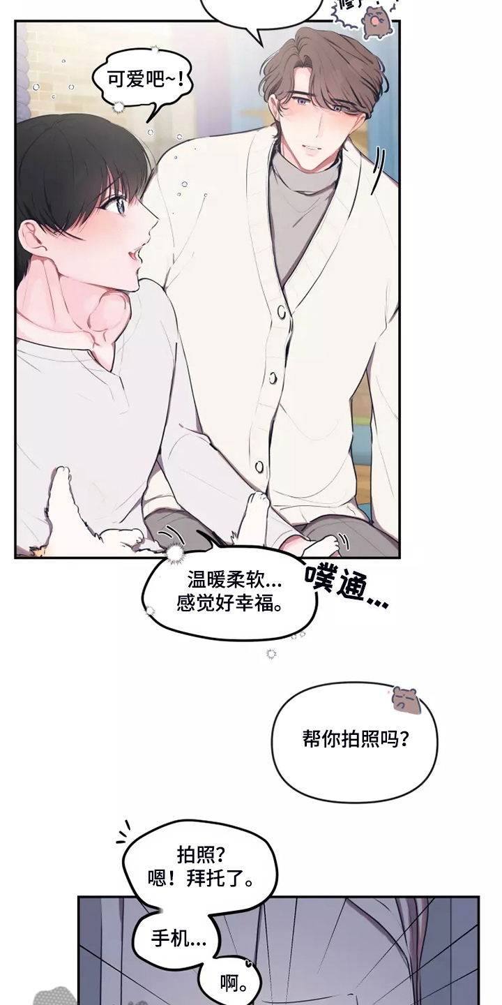 恋爱契约书漫画,第96章：【番外】过敏2图