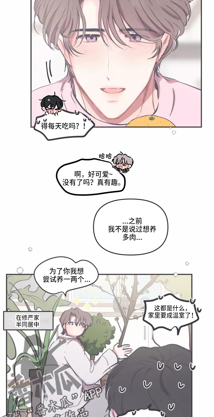 恋爱契约电视剧在线观看免费漫画,第107章：【番外】圣诞节2图