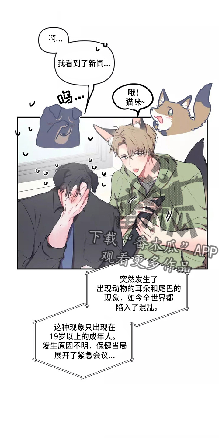 百日恋爱契约漫画,第108章：【番外】试试吧1图