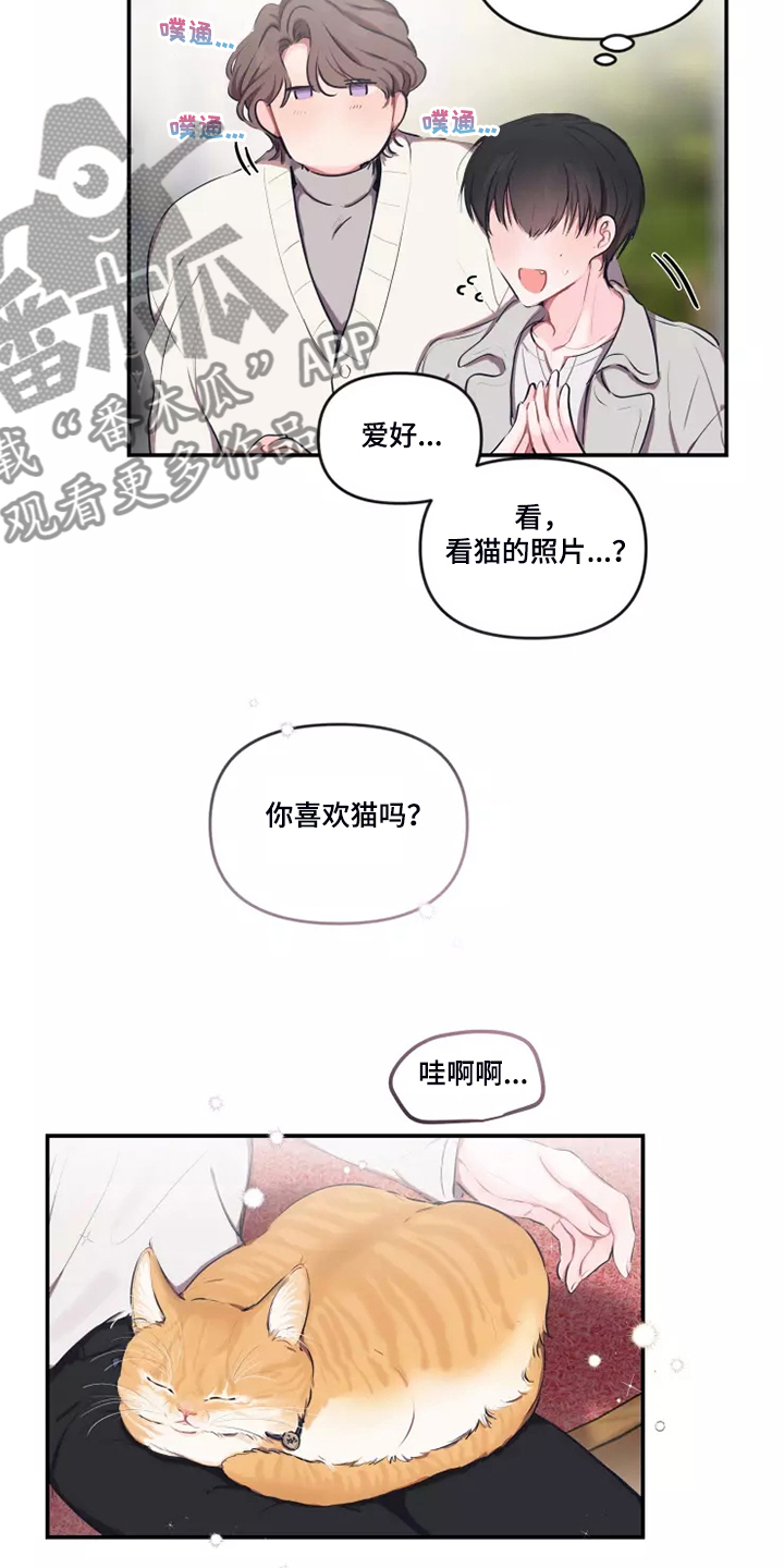 恋爱契约电视剧在线观看免费漫画,第95章：【番外】终于约会了2图