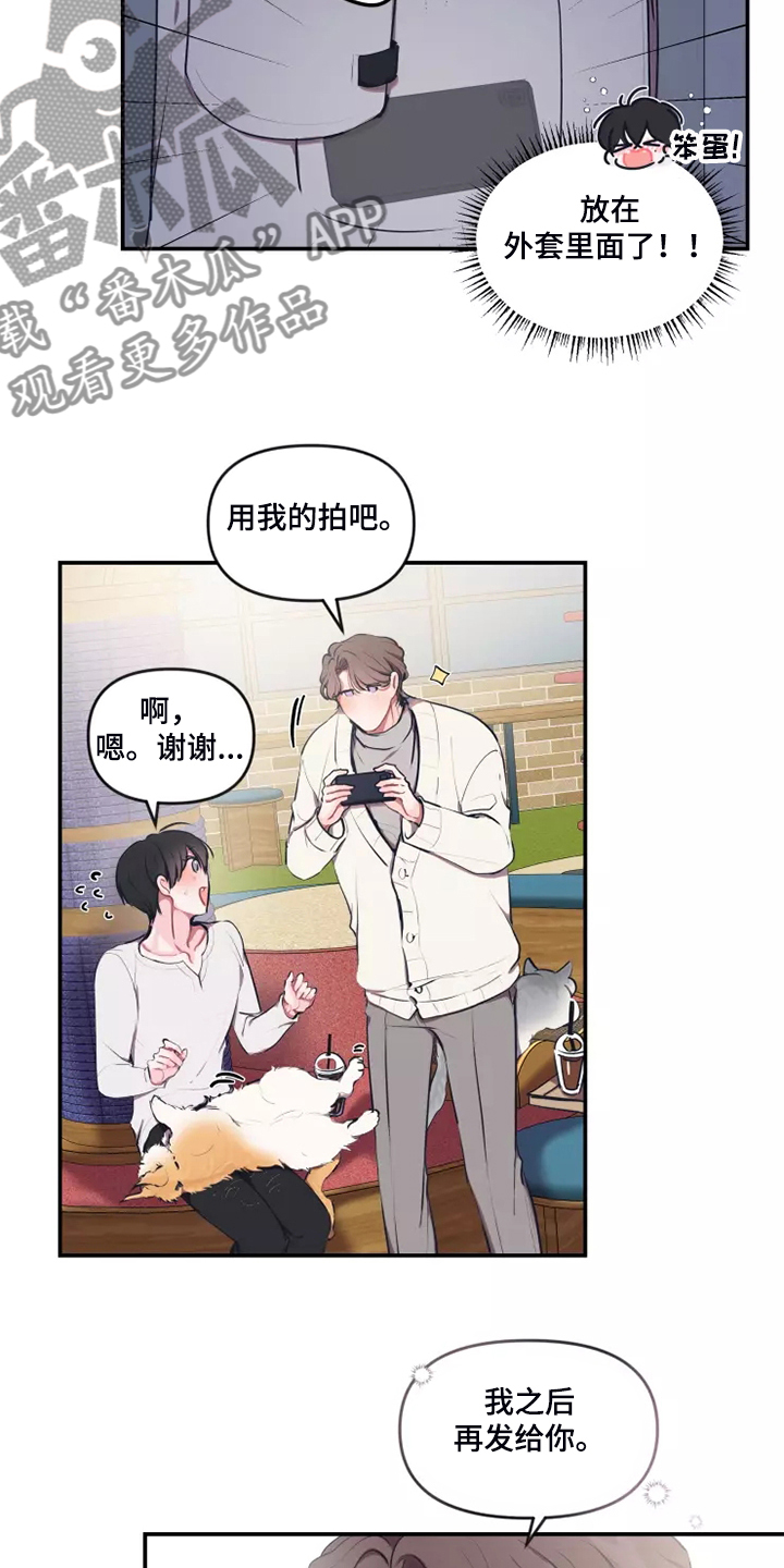 恋爱契约电视剧在线观看免费漫画,第96章：【番外】过敏1图