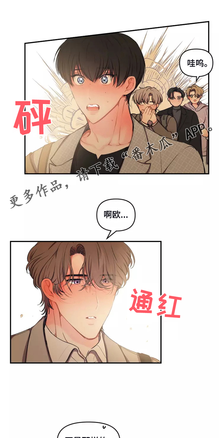 恋爱契约安禾漫画,第101章：【番外】跟随心走1图