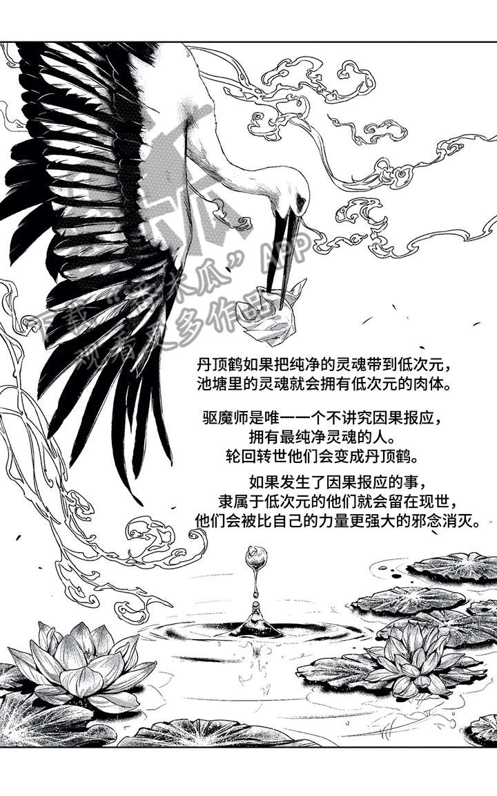 低次除以高次漫画,第4章：爱1图