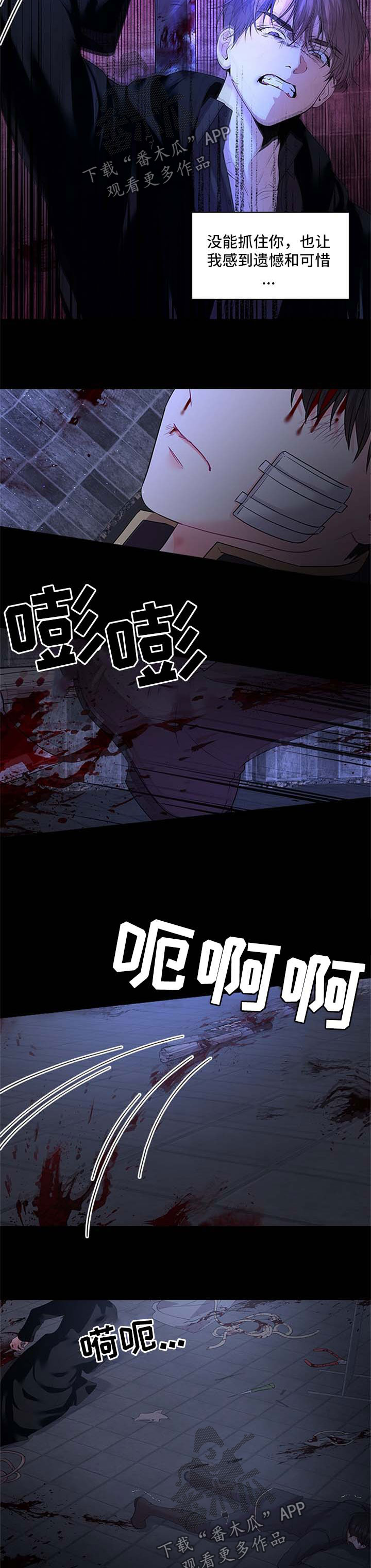 皇室血脉免费漫画在线阅读下拉式漫画,第74章：壮观2图