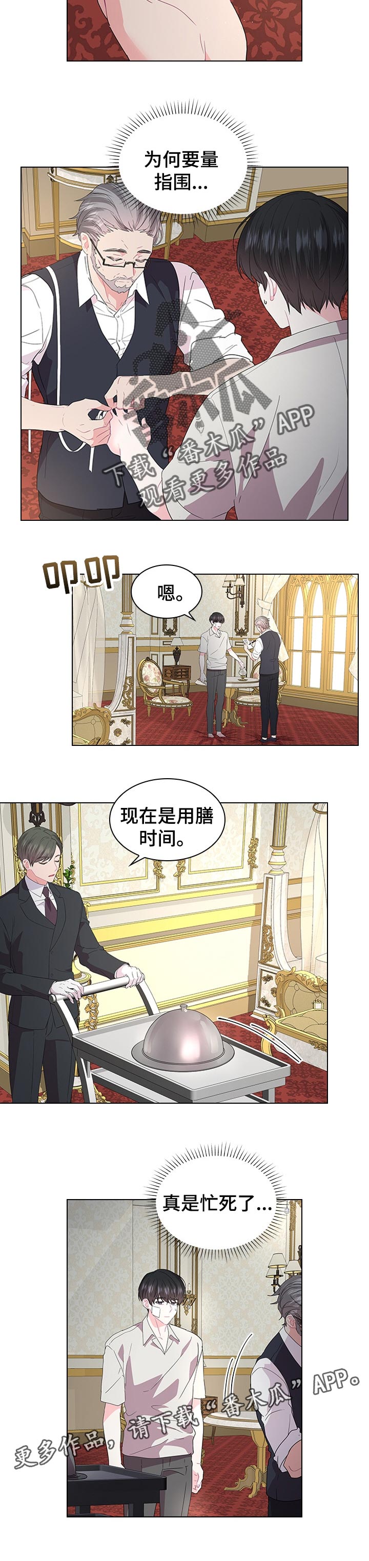 皇室血脉漫画全集免费在线观看漫画,第84章：期待着的婚礼2图