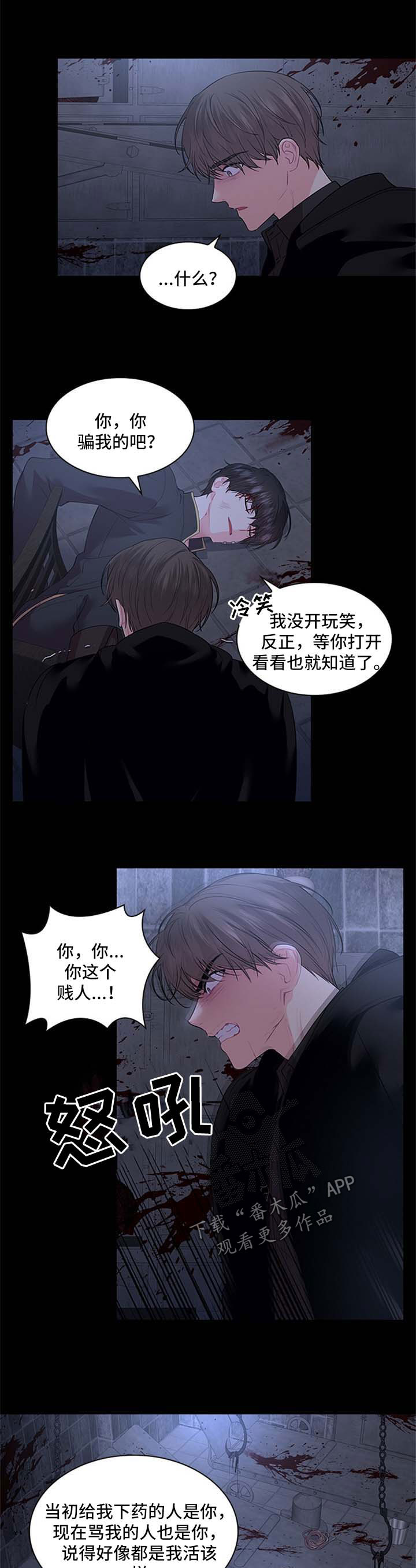 皇室血脉漫画免费下拉式非麻瓜漫画,第73章：再坚持一下1图