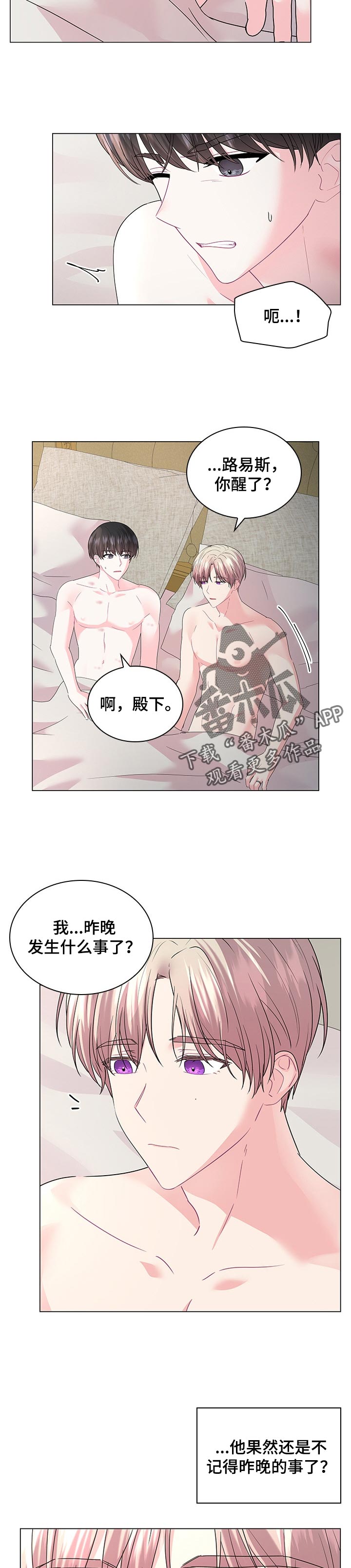 长公主为什么不是皇室血脉漫画,第99章：【番外】皇太子的命令2图