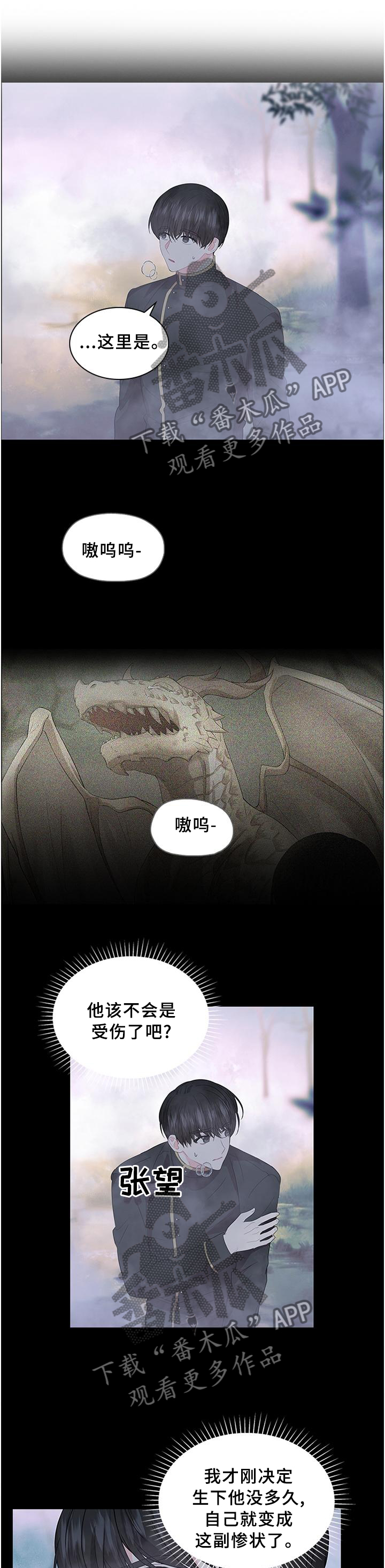 我并非皇室血脉漫画,第76章：孩子是我的1图