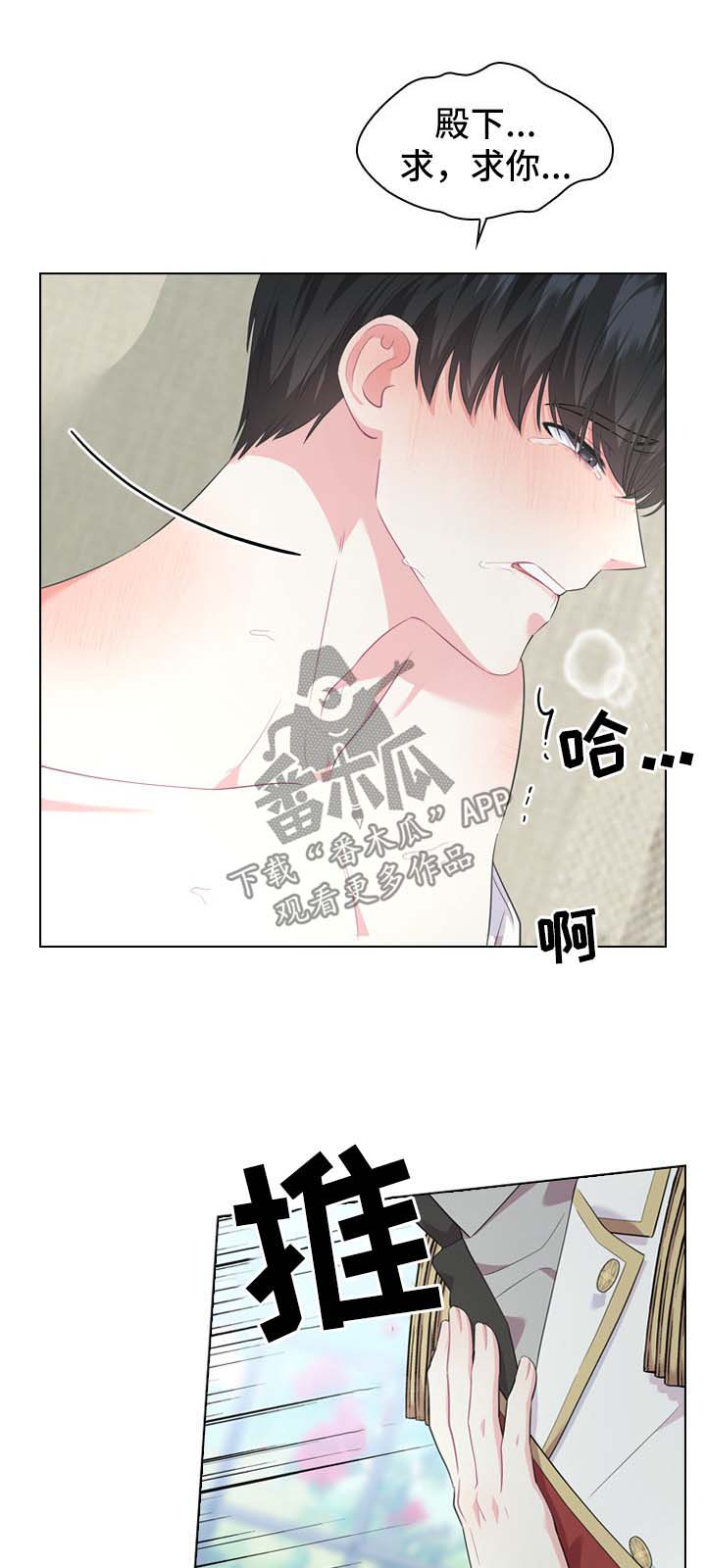 皇室血脉无增减版本漫画,第27章：刚开始2图