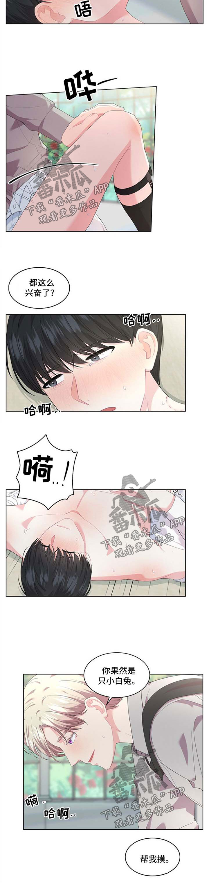 皇室血脉漫画免费阅读漫画,第29章：迷药2图