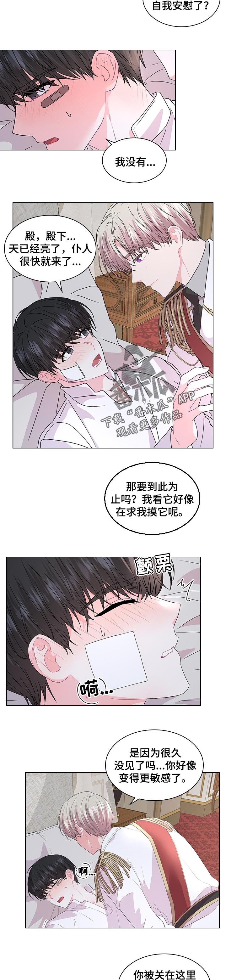 皇室血脉漫画完整版漫画,第81章：如你所愿2图