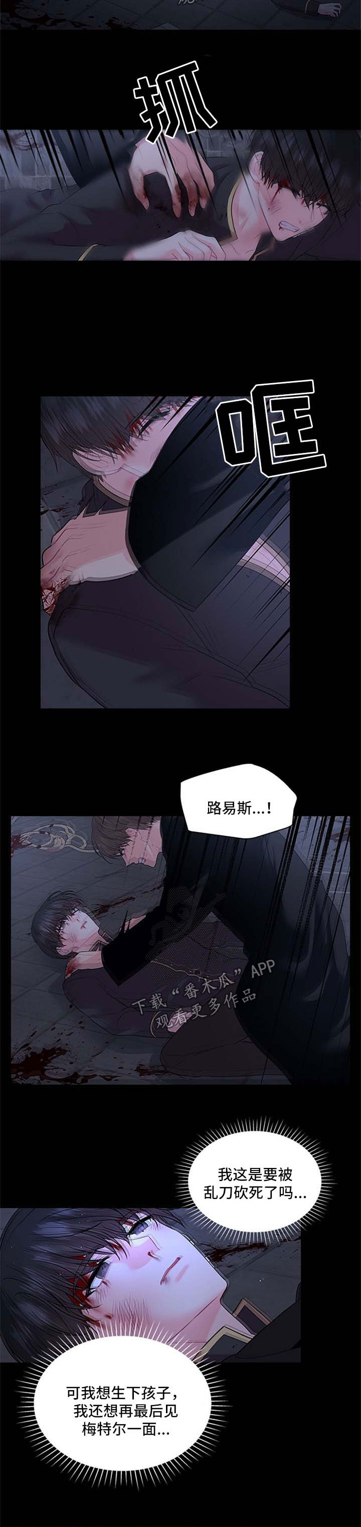 皇室血脉免费漫画在线阅读下拉式漫画,第74章：壮观1图