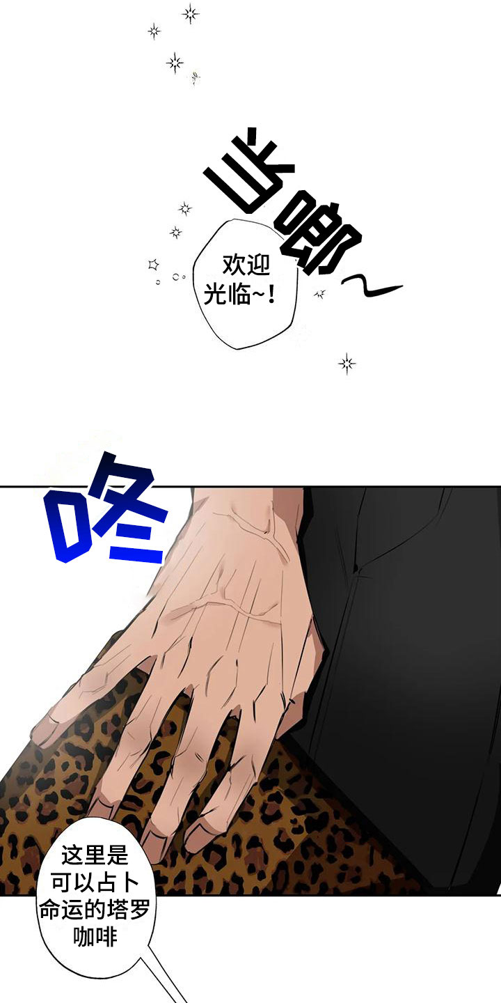 疯批大佬漫画,第3章：大哥的爱：占卜2图