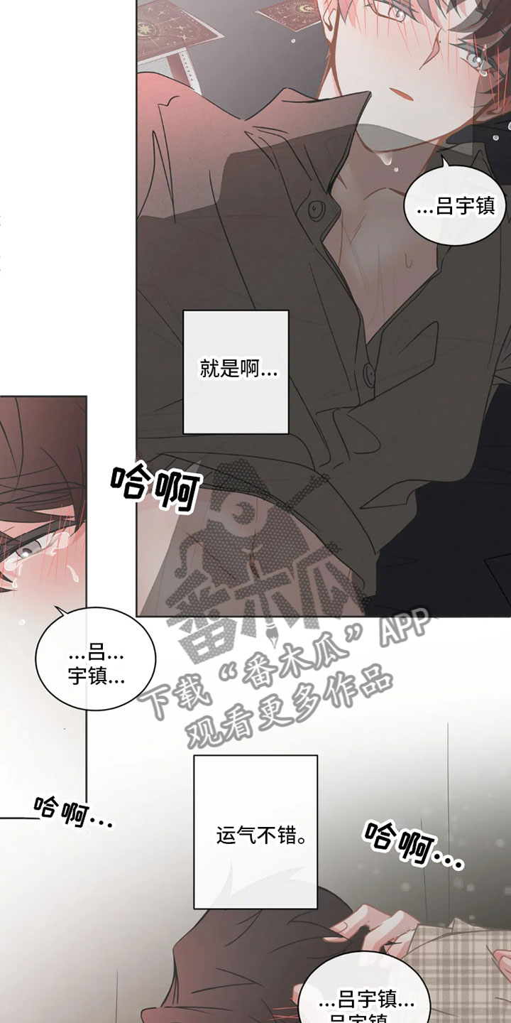 疯批反派总想杀我漫画,第40章：桃花运：像梦一样1图