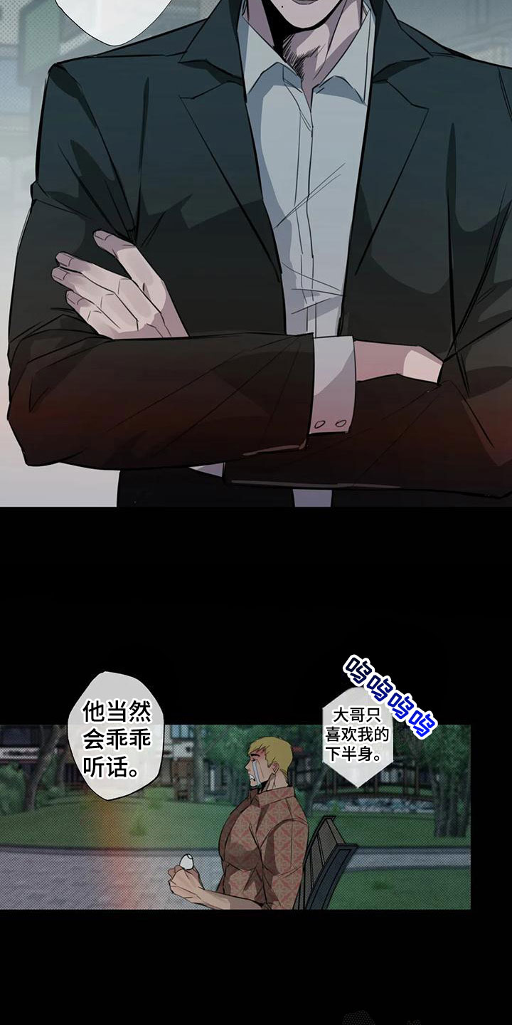 疯批反派非要缠上我漫画漫画,第6章：大哥的爱：原计划【完】1图