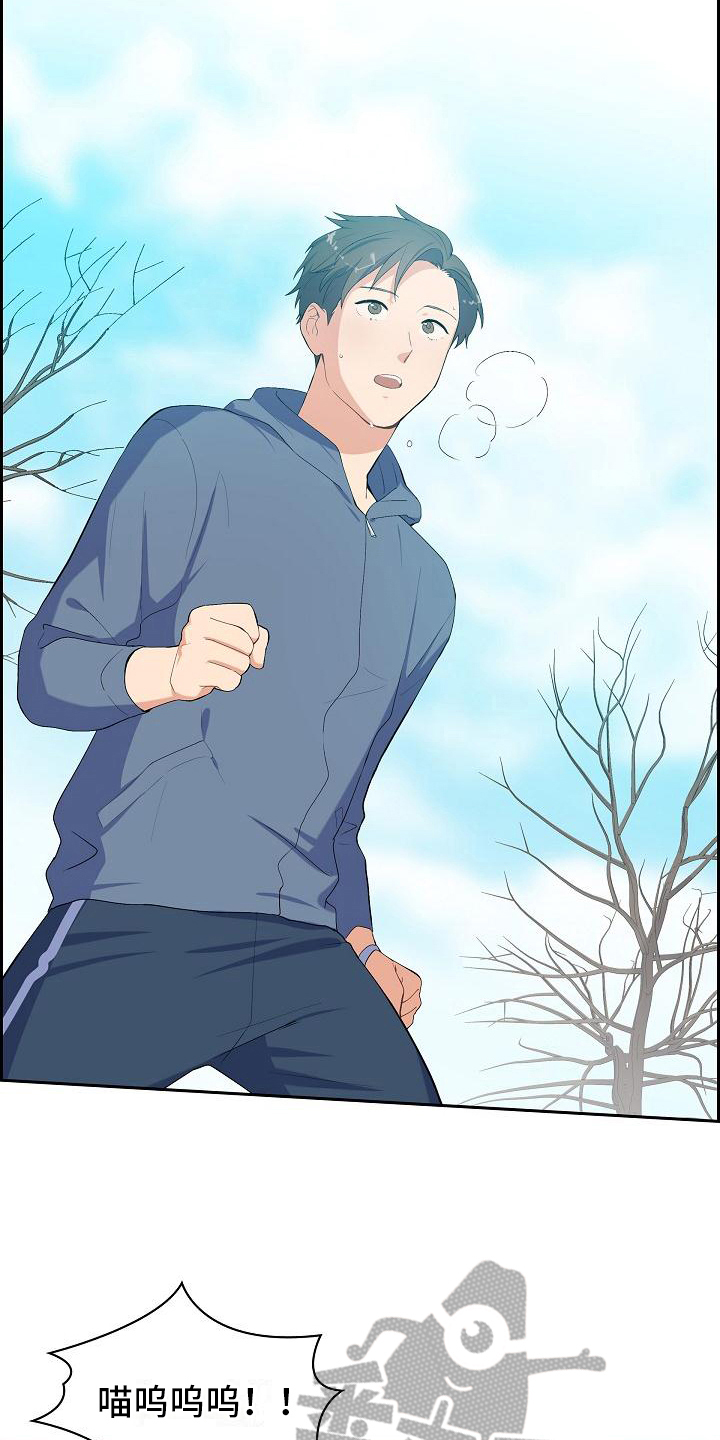 再相会漫画,第7章：猫的纷争2图