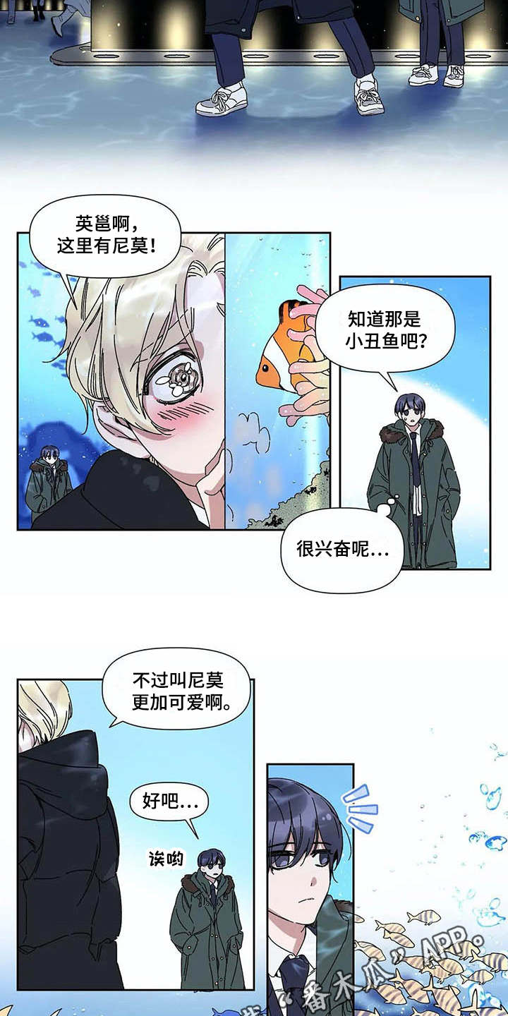 情书计划名称漫画,第6章：水族馆1图