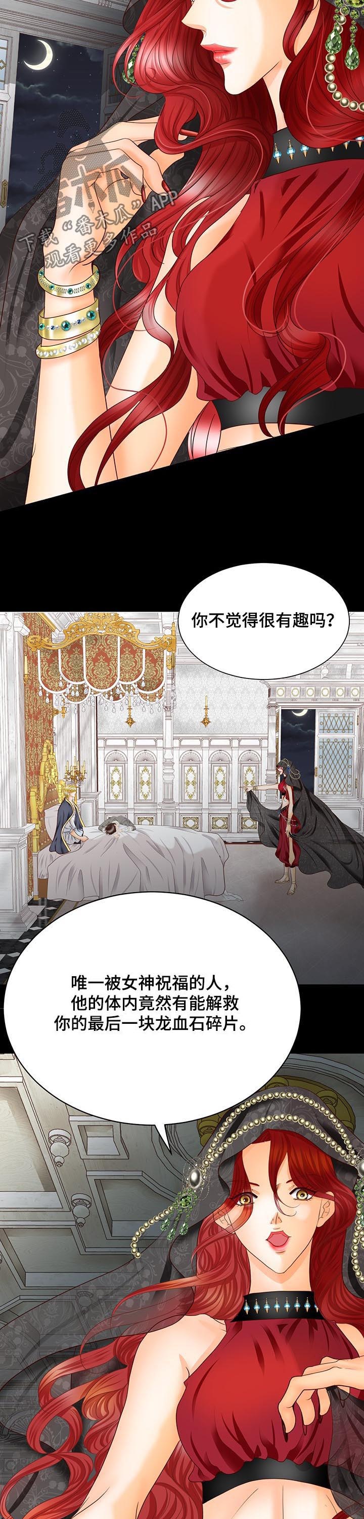 玲珑之心装备属性漫画,第93章：诅咒1图