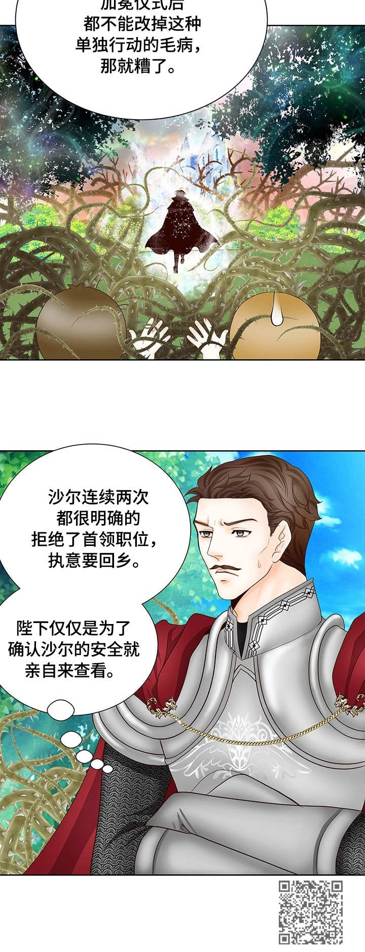 玲珑之心短剧漫画,第16章：沙尔2图