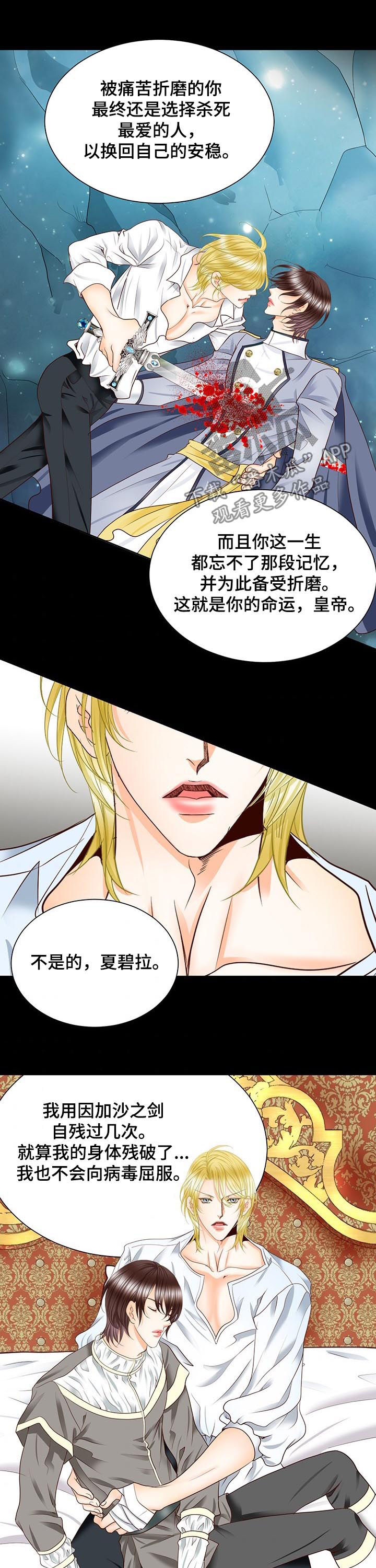 玲珑之心漫画在哪看漫画,第93章：诅咒1图