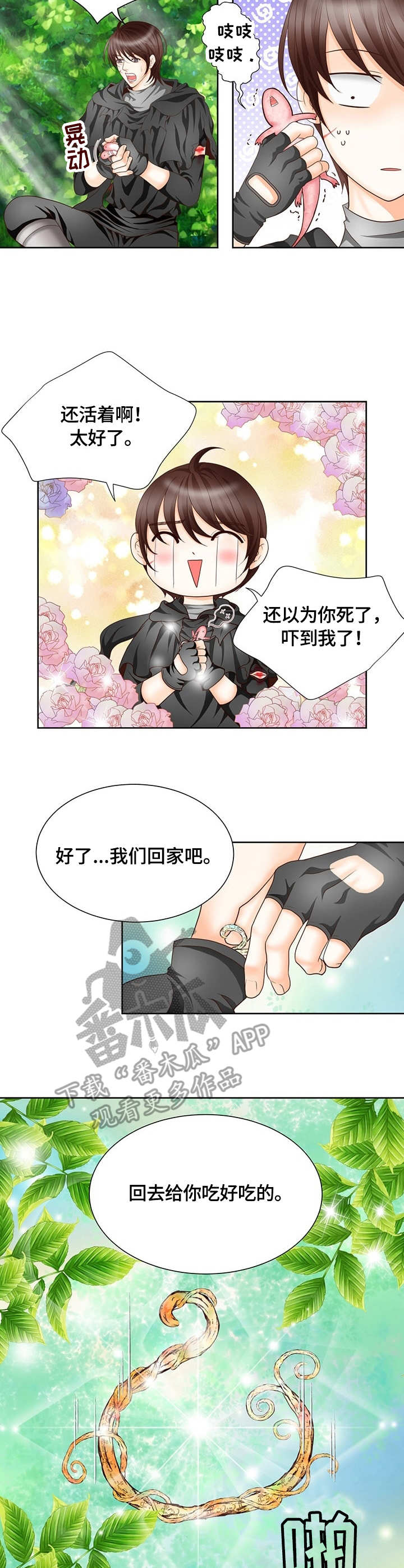 玲珑之心漫画,第11章：消息2图