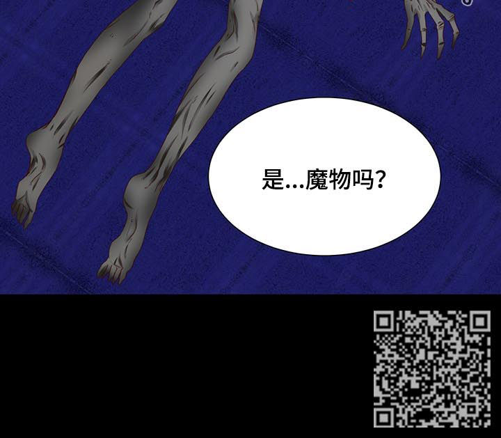 玲珑之光属于啥游戏漫画,第88章：魔物1图