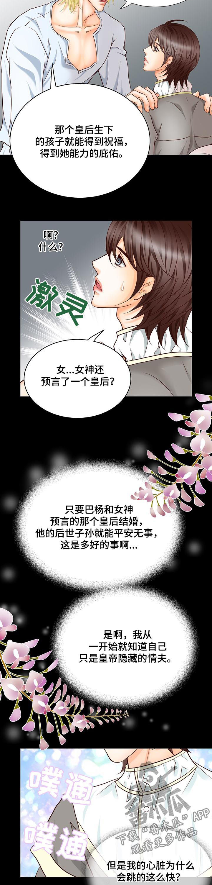 玲珑之光游戏广告漫画,第94章：预言1图