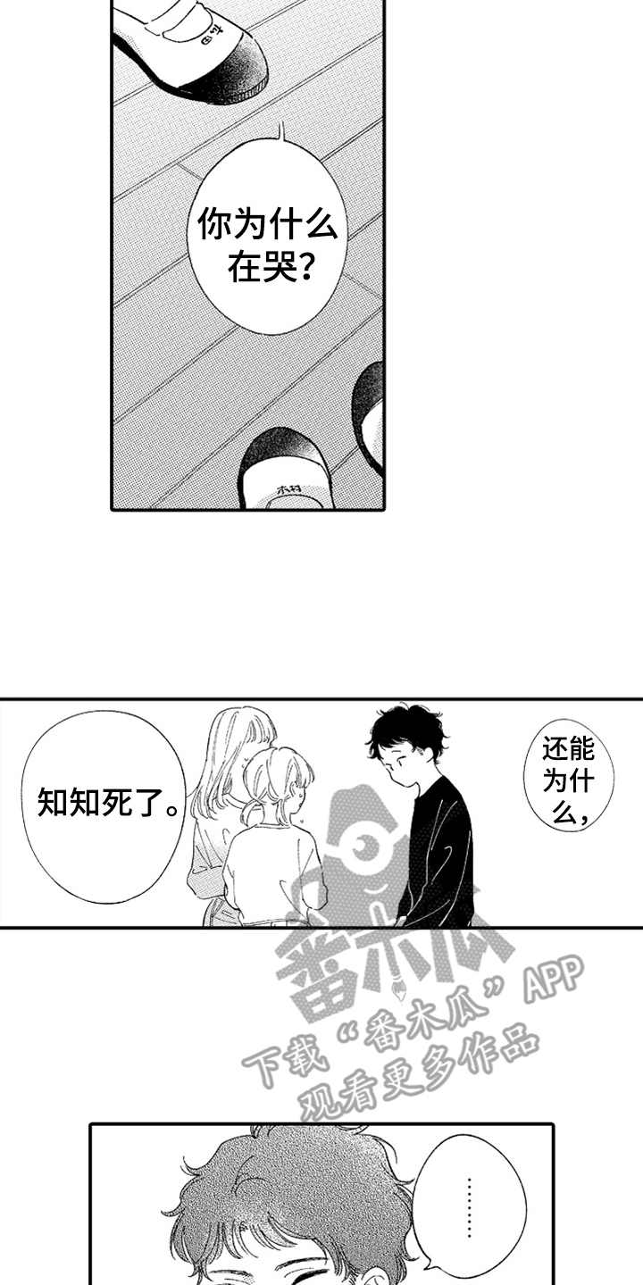 为你疯狂漫画,第15章：无法理解2图