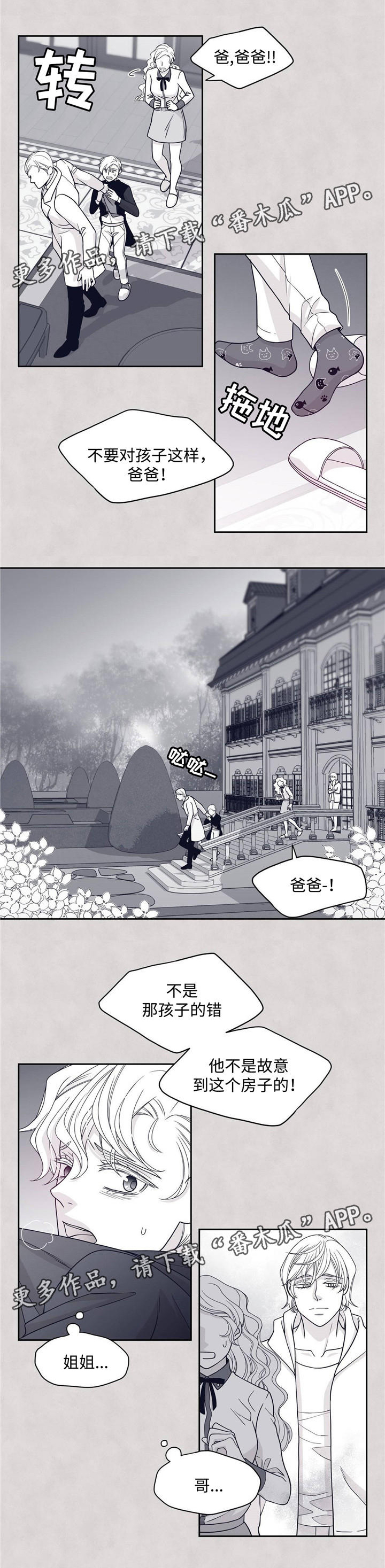 青年瑞恩漫画,第47章：真相2图