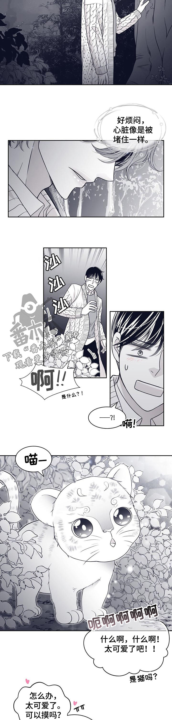 青年瑞恩漫画,第84章：怀孕？1图