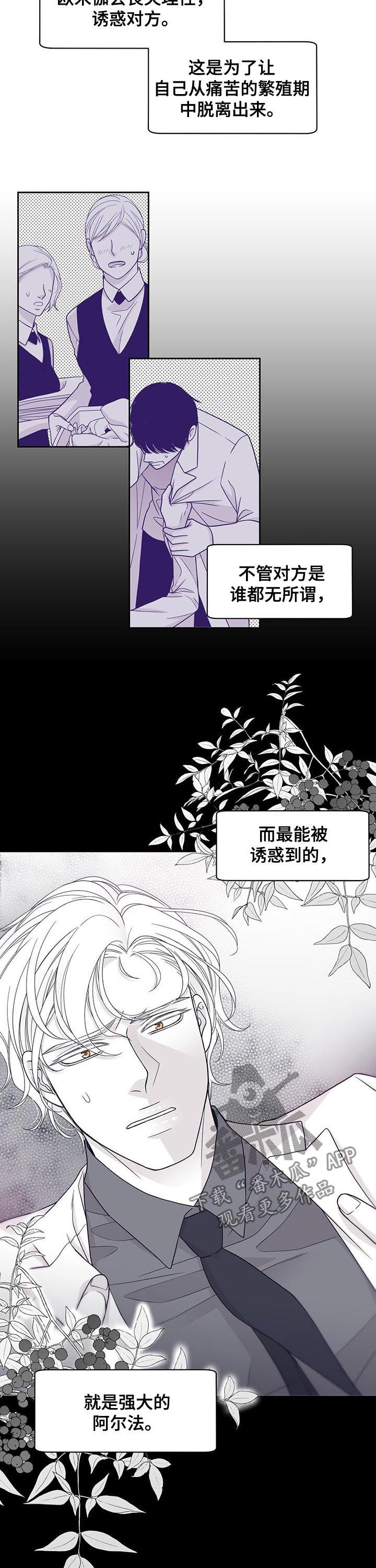 青年霍元甲漫画,第70章：我不想回去2图